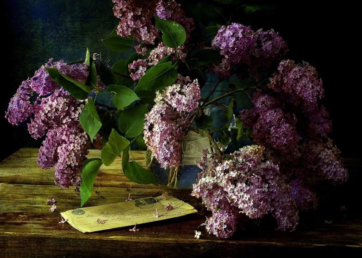 Рембрандт натюрморт сирень