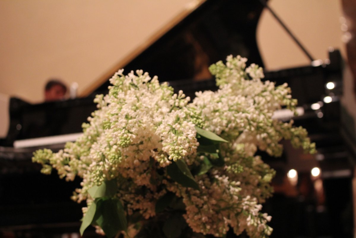 Белая сирень Рахманинов