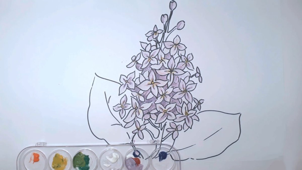 Сирень рисунок карандашом