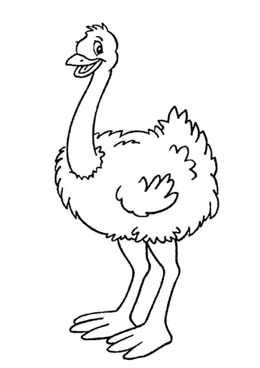 Страус скетч