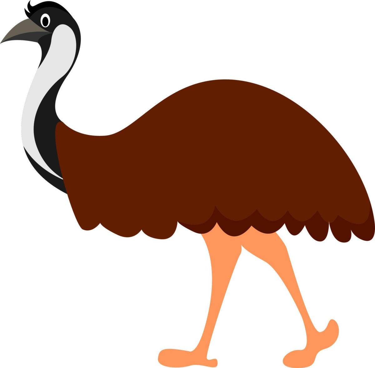 Страусы мультяшные