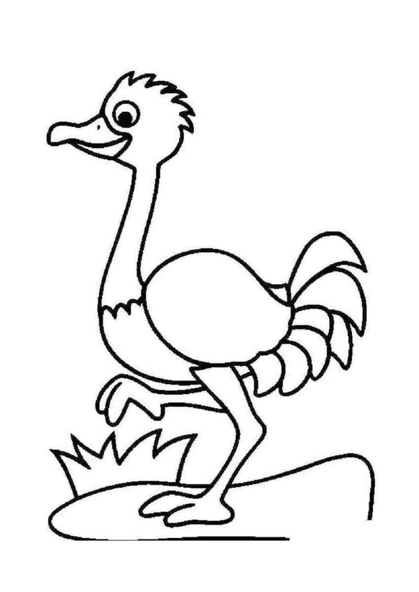 Катается на эму рисунок