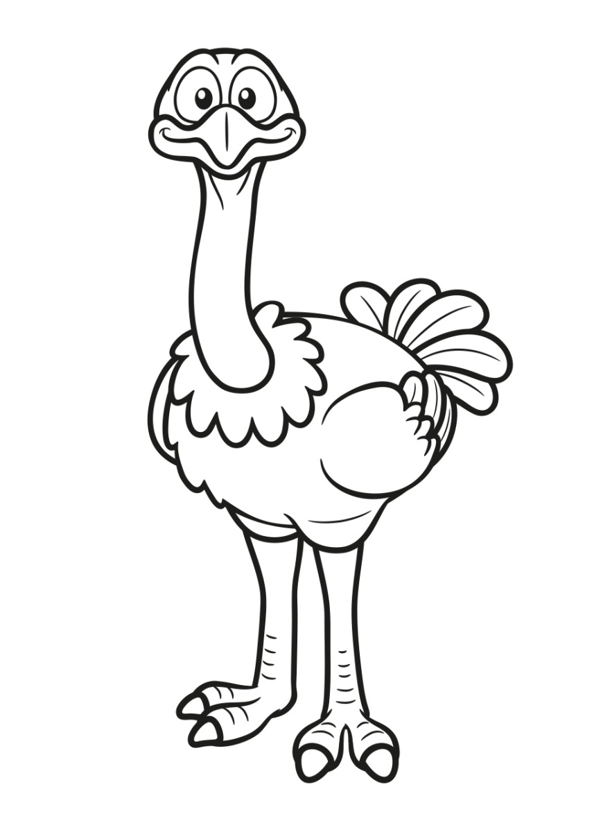 Нелетающие птицы раскраски