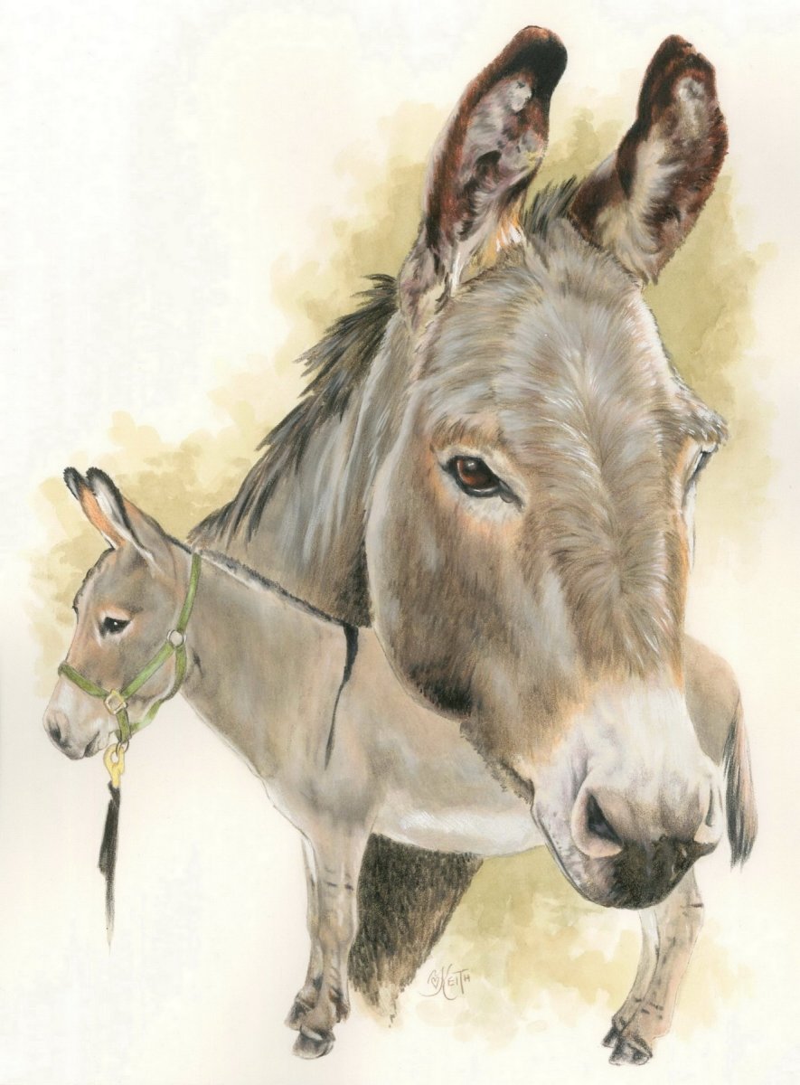 Осел картина