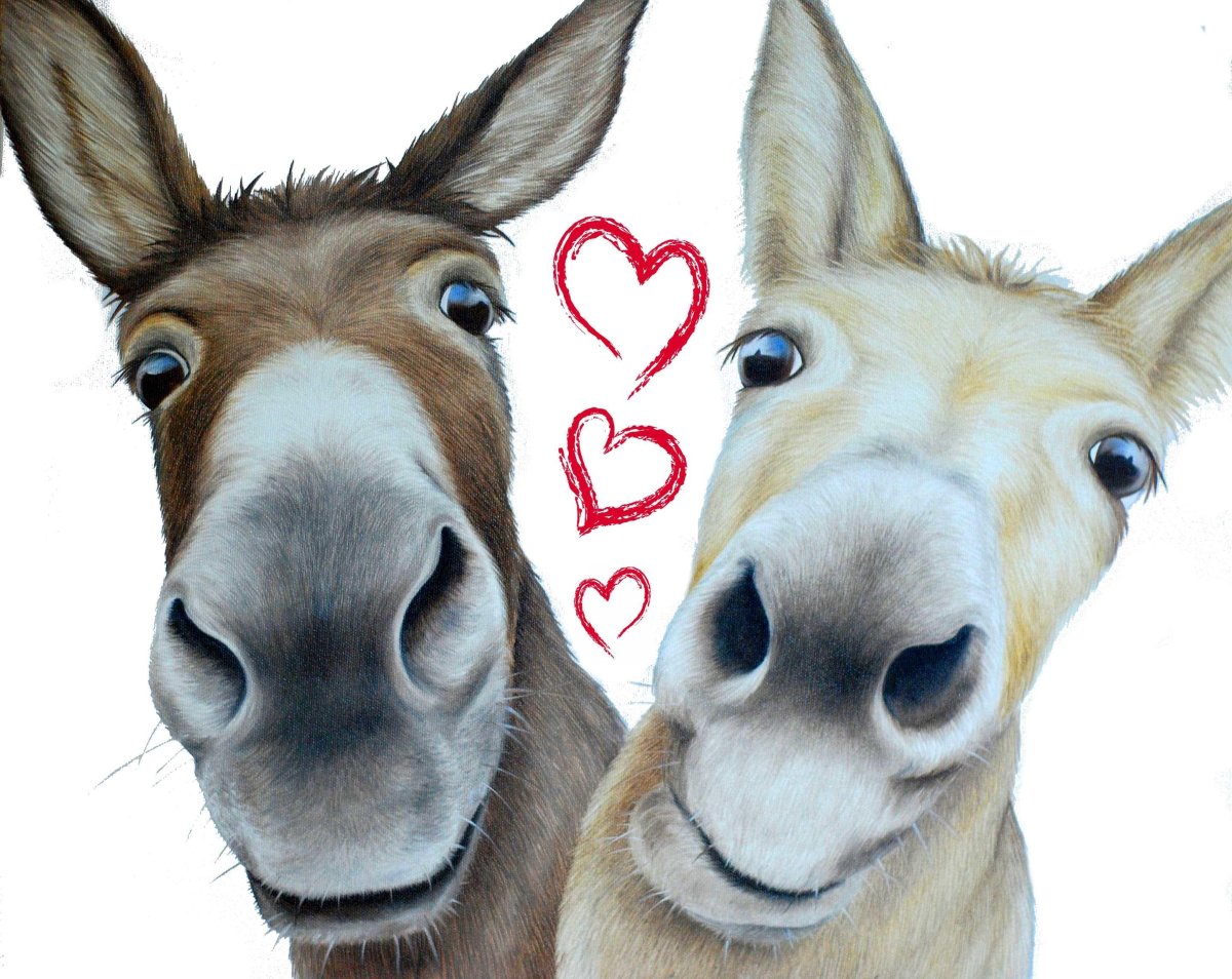 Сердце осла