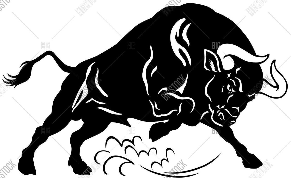 Бык для выжигания