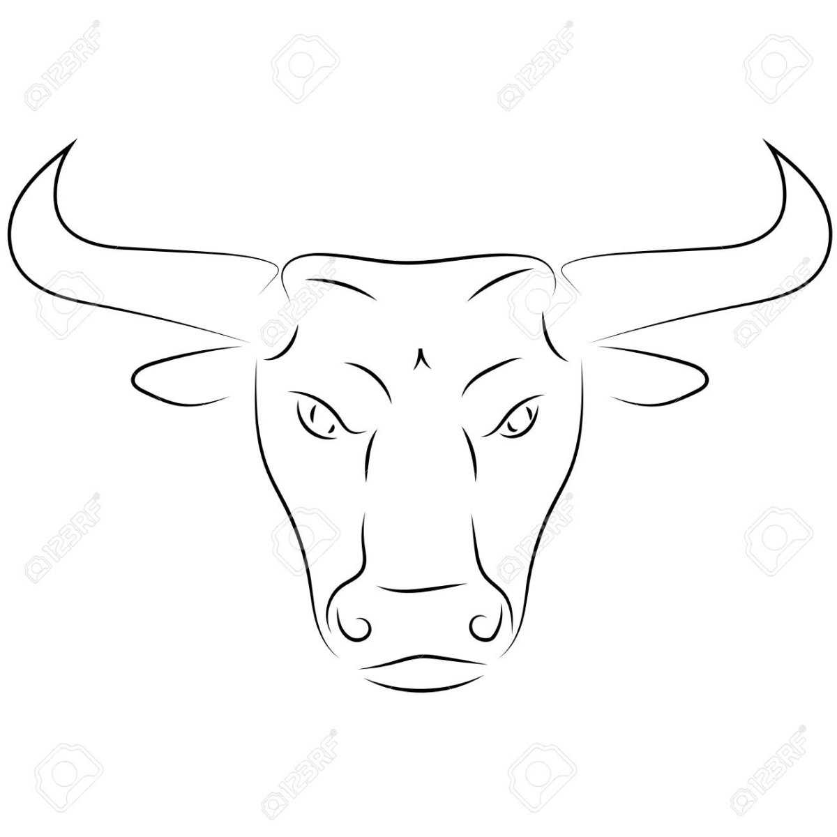 Голова быка