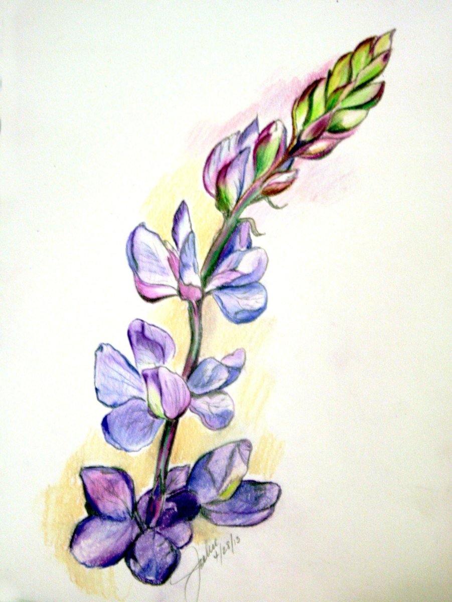 Лариса Батенкова картины