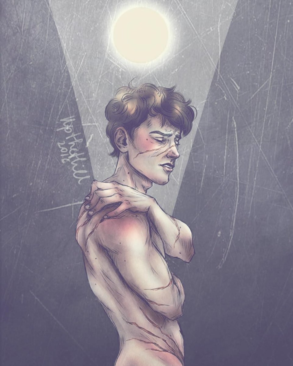 Люпин многолистный формула цветка