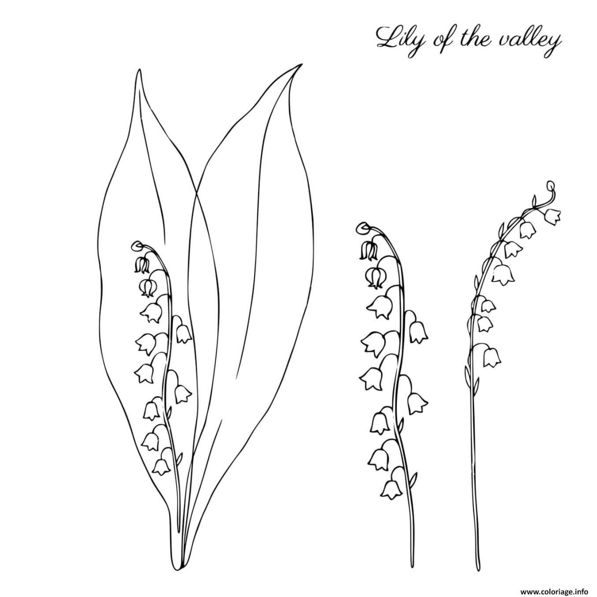 Ландыш раскраска для аппликации