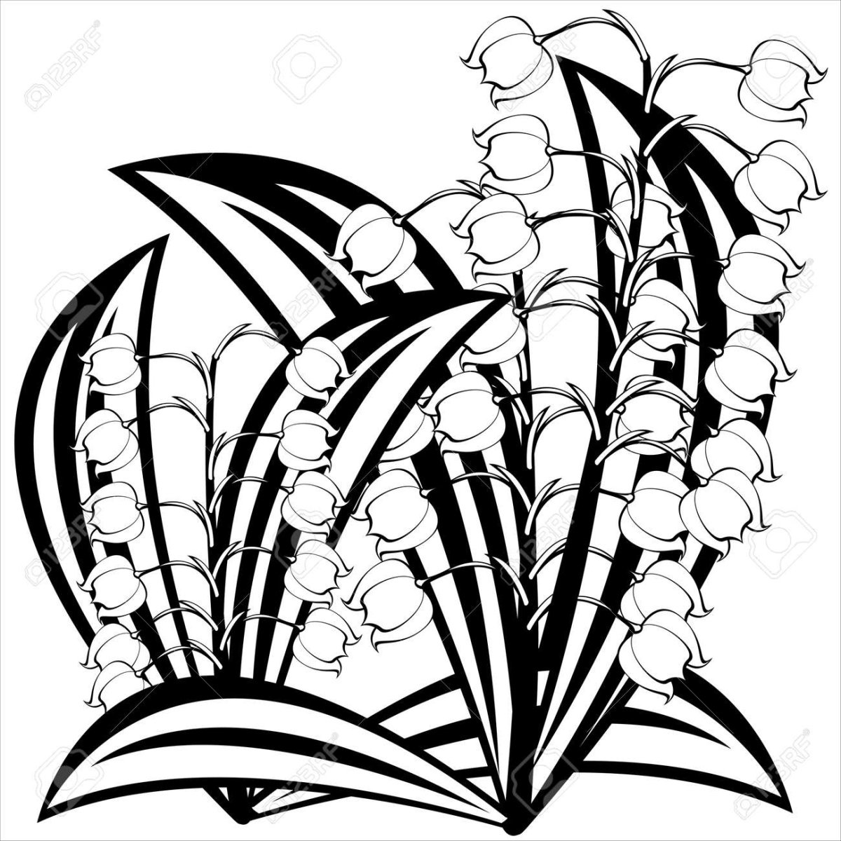 Ландыш раскраска для детей