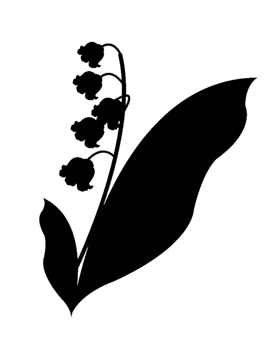 Ландыши карандашом