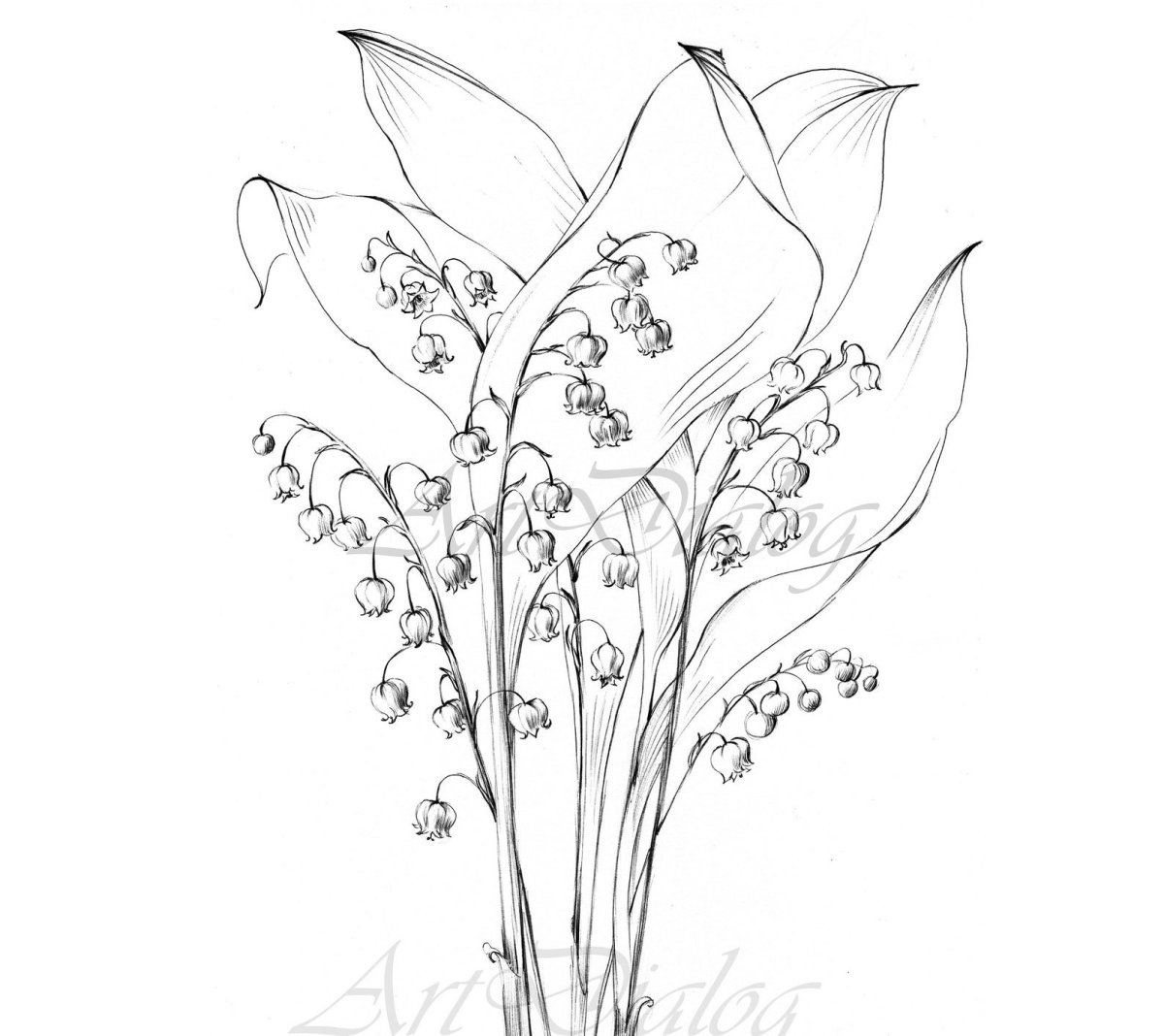 Ландыш раскраска