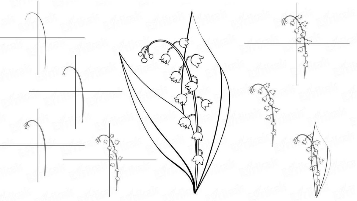 Ландыш рисунок легкий