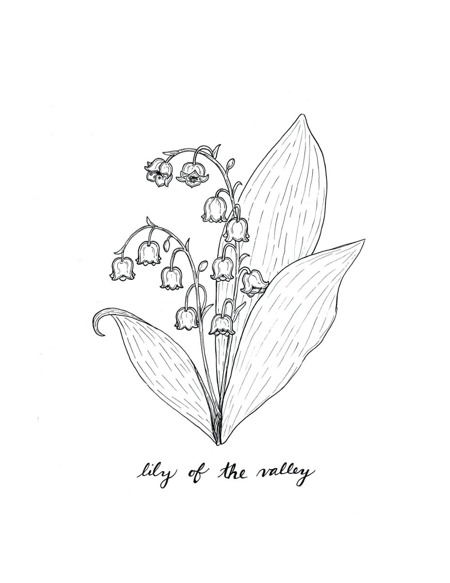 Поэтапное рисование ландыша