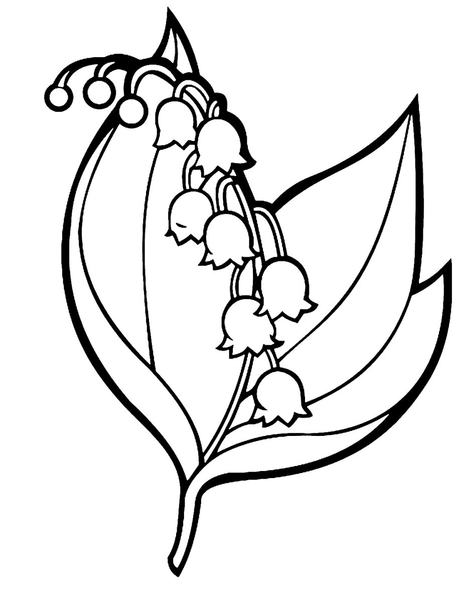 Разукрашка цветы ландыша
