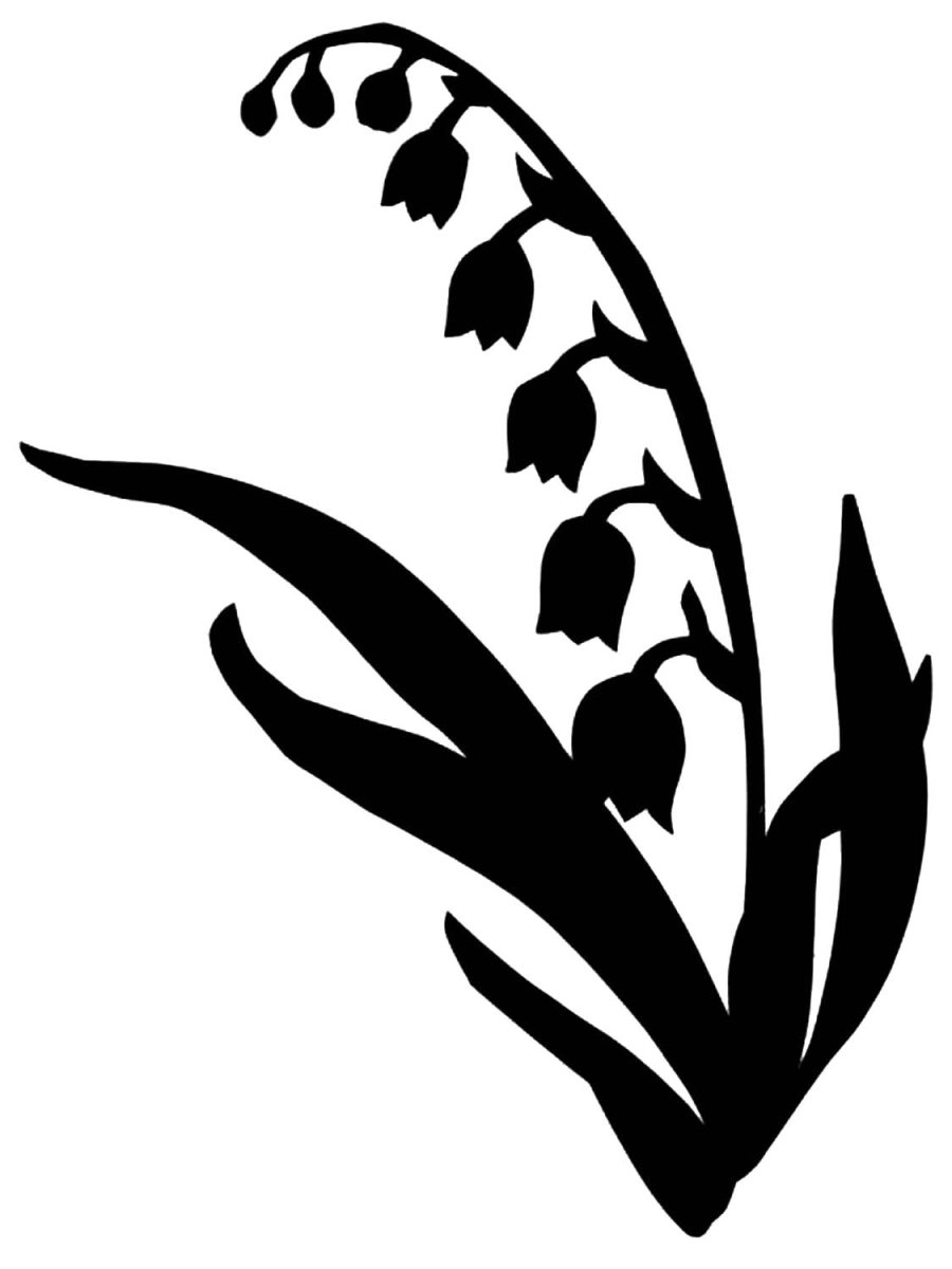 Ландыш рисунок карандашом