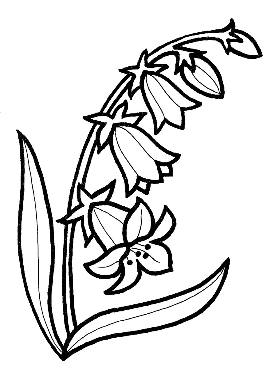 Ландыш раскраска