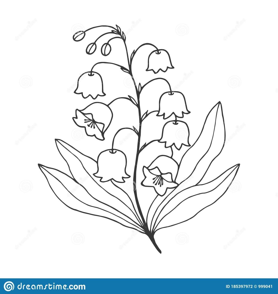 Композиция цветов карандашом