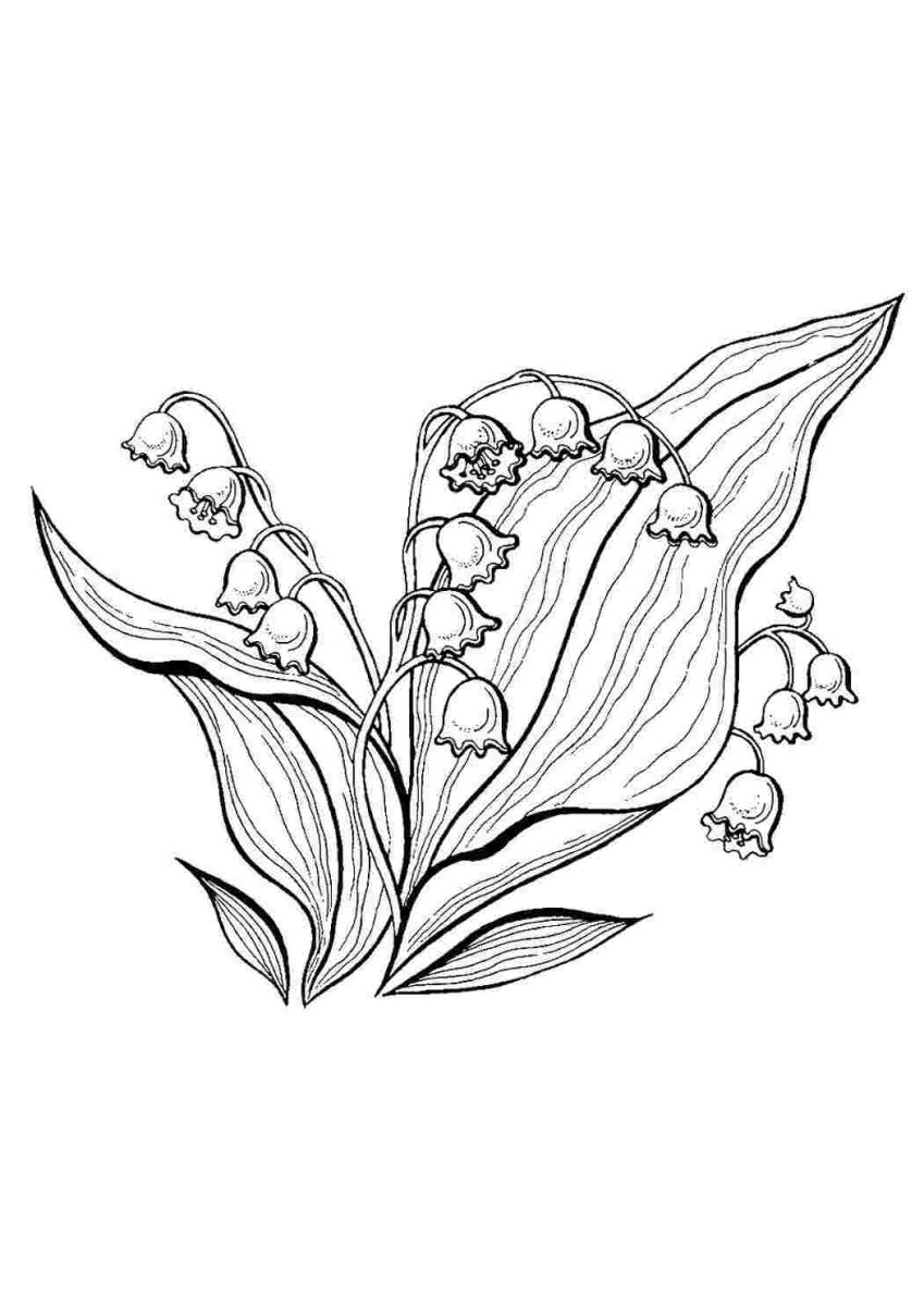 Ландыши силуэт