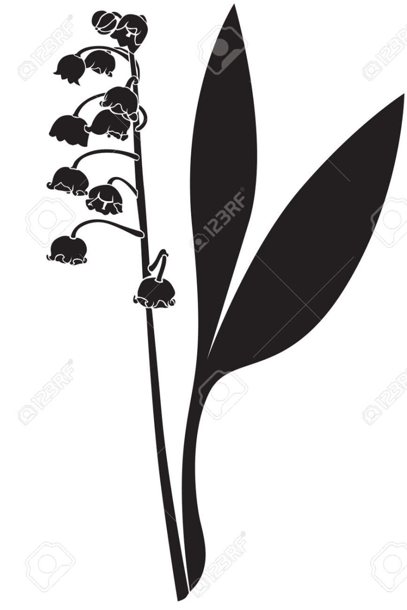 Лекарственные растения раскраска Ландыш