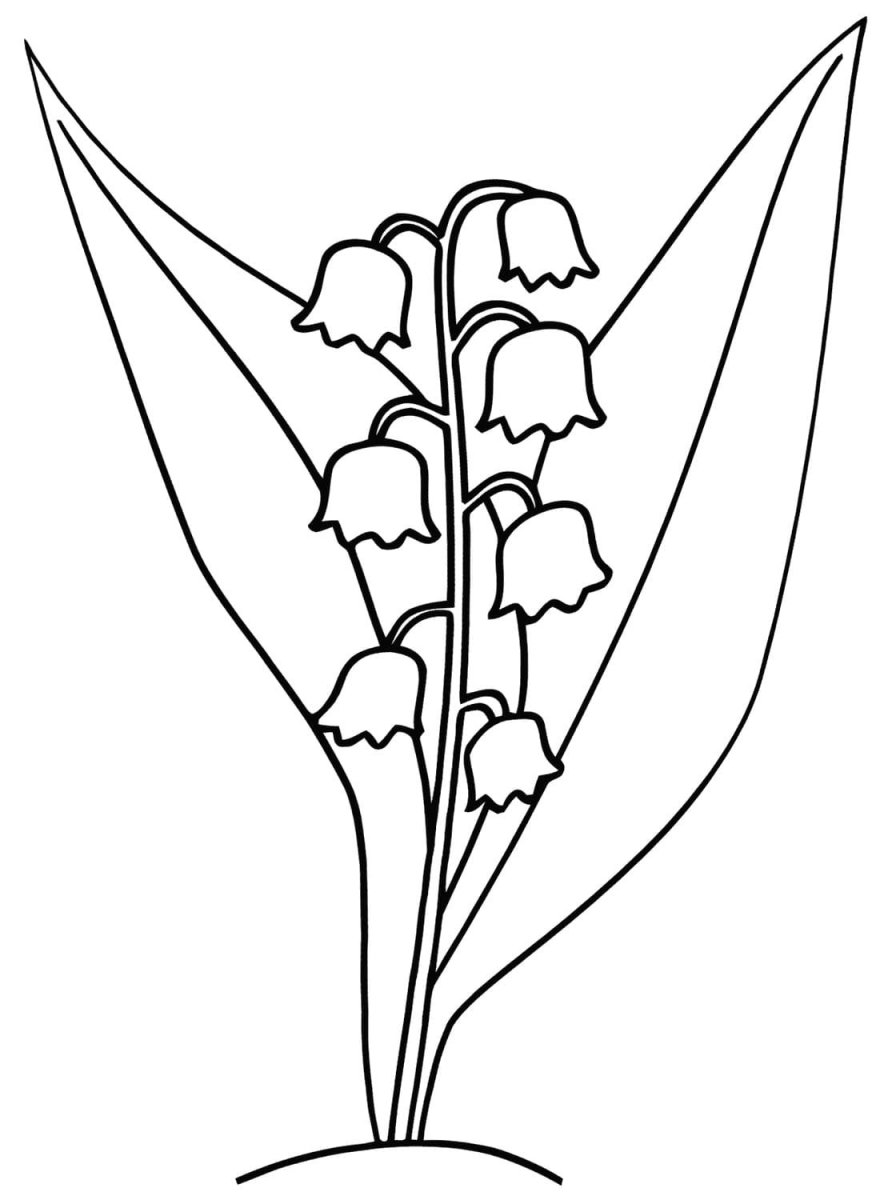 Девушка собирает Ландыши рисунок