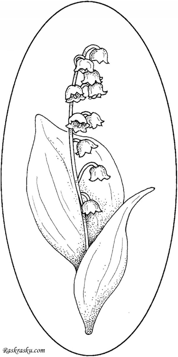 Ландыш Майский