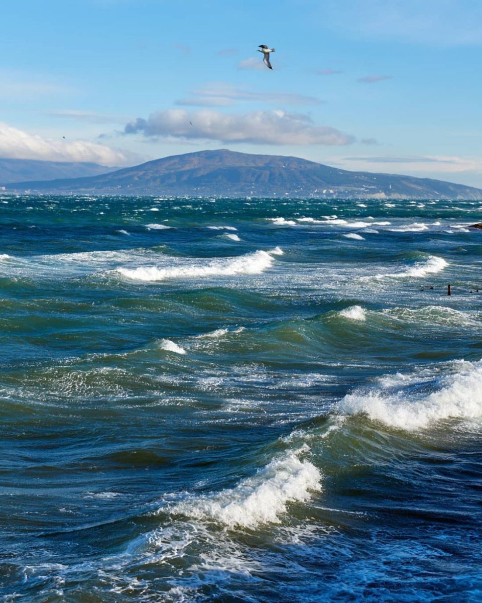 Новороссийск набережная Адмирала Серебрякова памятники