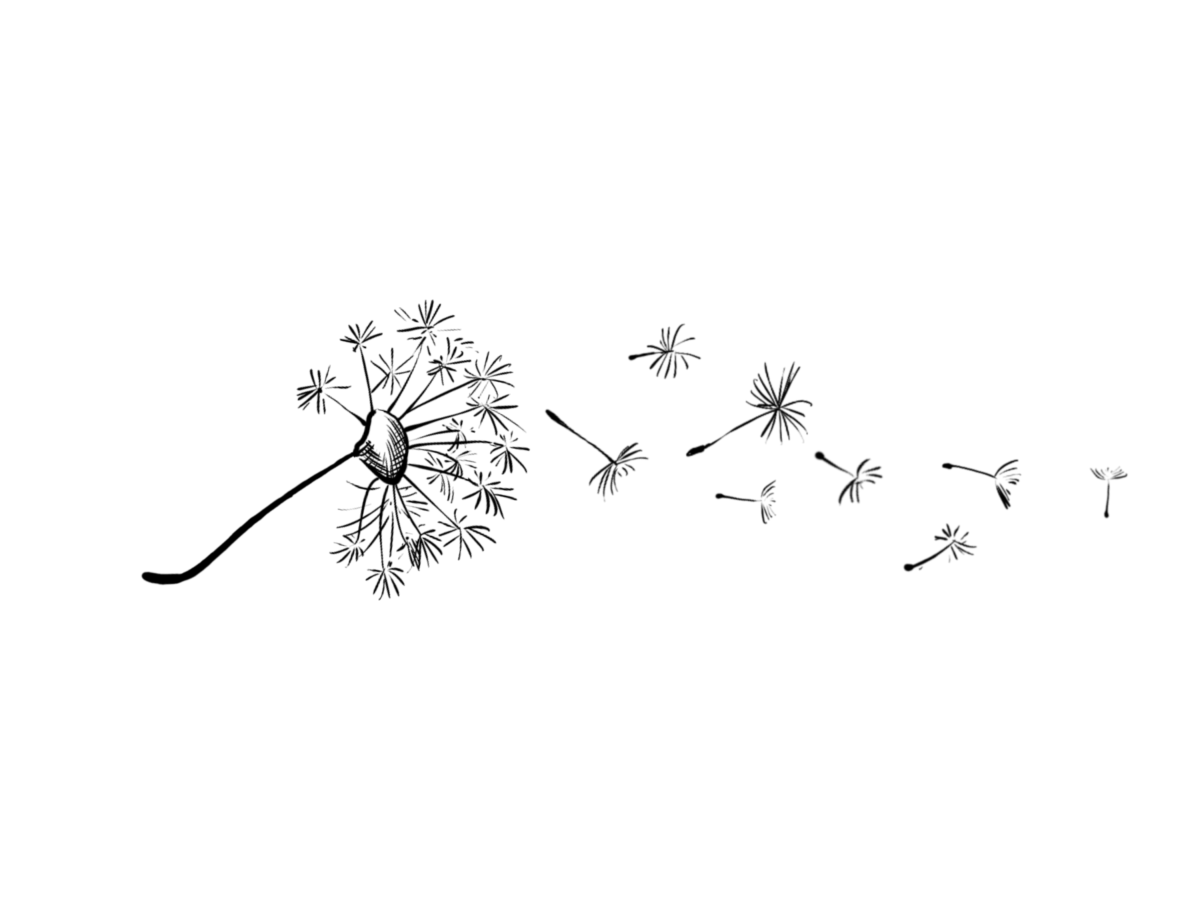 Тату Минимализм одуванчик