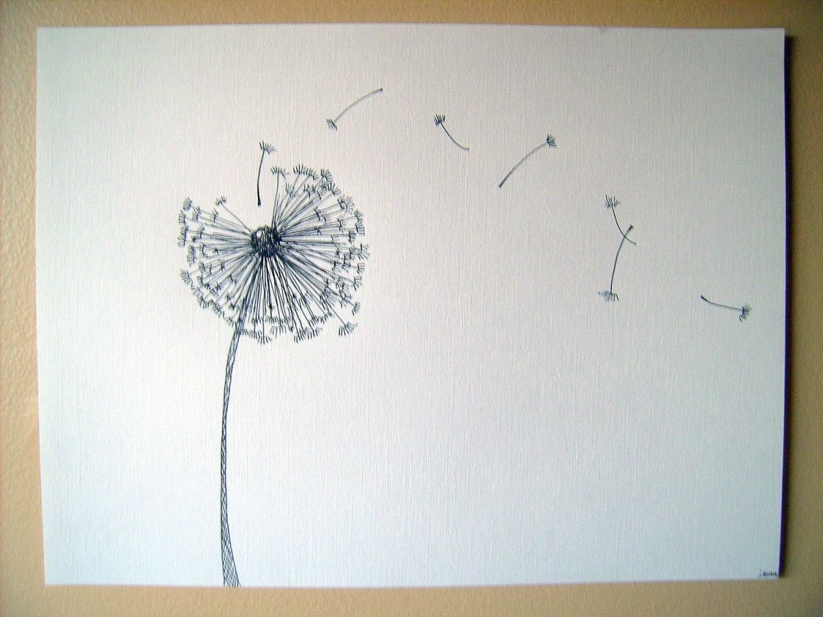 Одуванчик одной линией