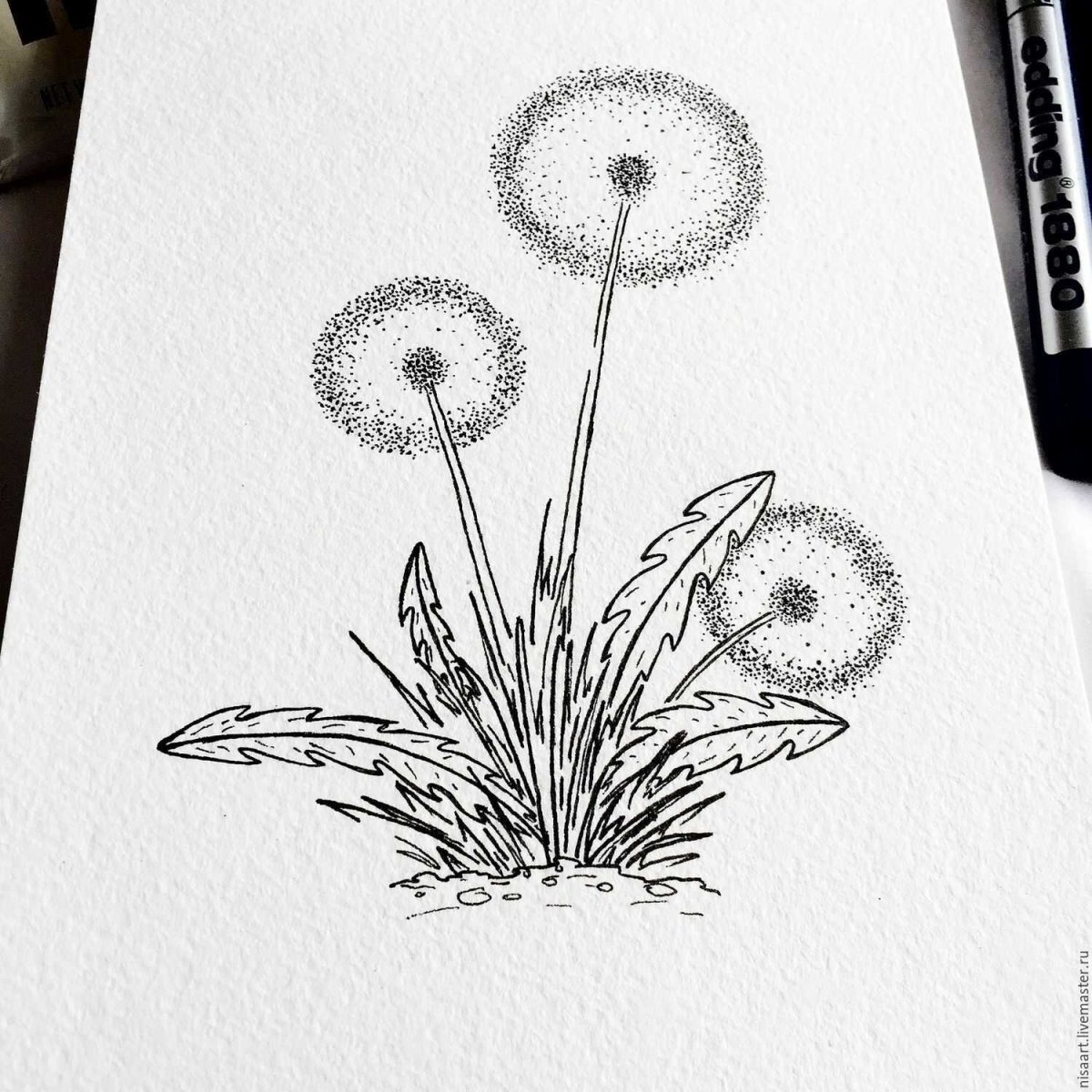 Одуванчик узор