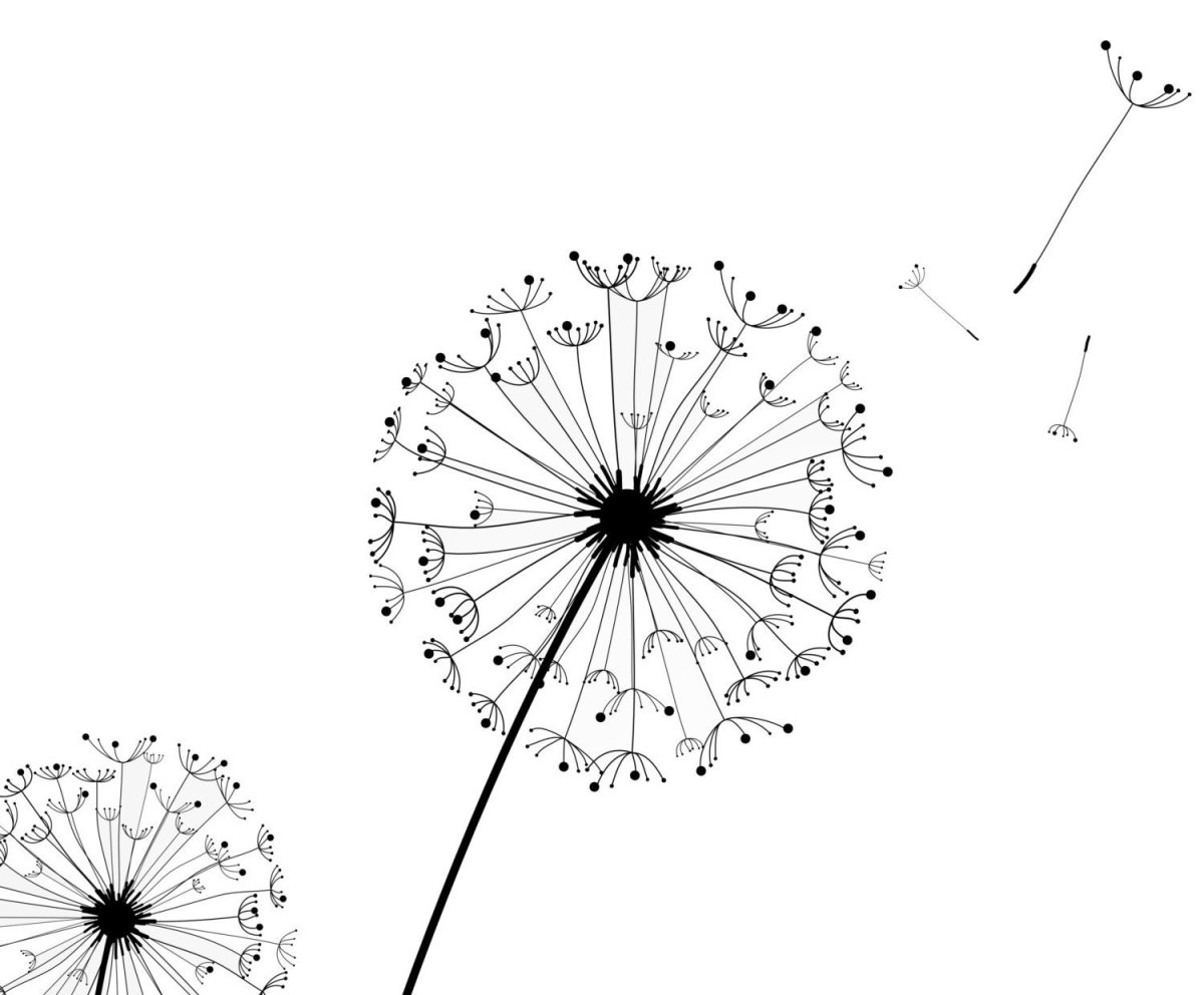 Скетчинг одуванчик