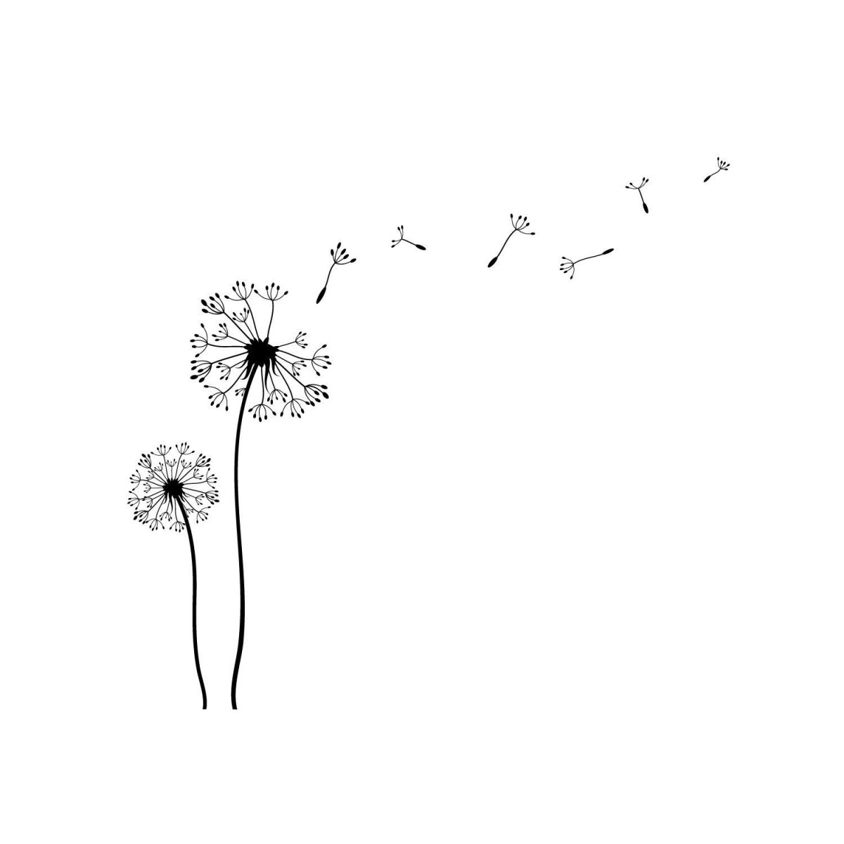 Изящный одуванчик эскиз