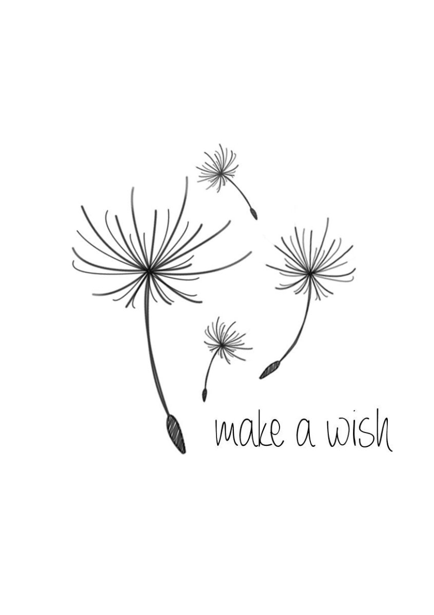 Рисунки одуванчика для срисовки