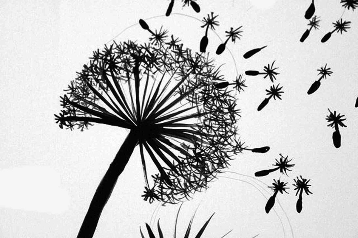 Стилизированные цветы