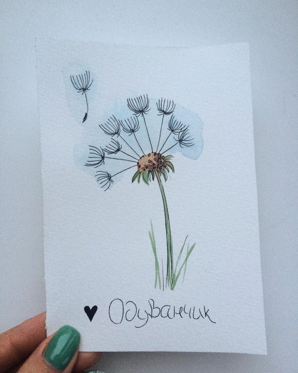 Одуванчик Графика