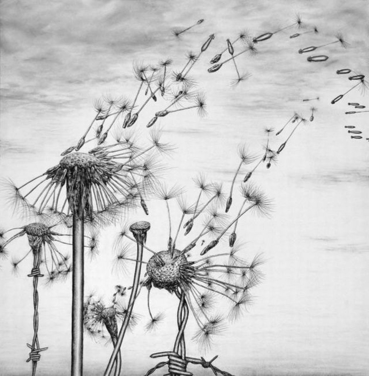 Одуванчик Минимализм