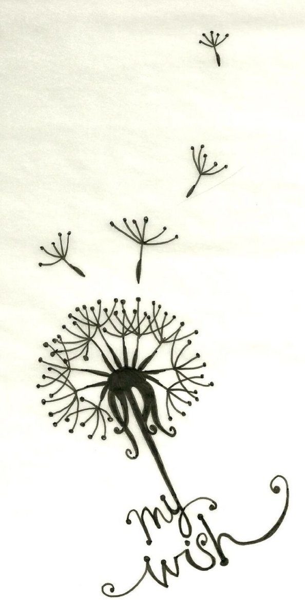 Одуванчик контур