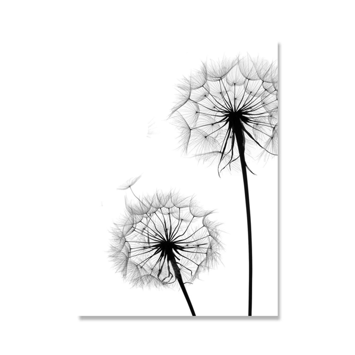 Тату одуванчик эскиз для девушки