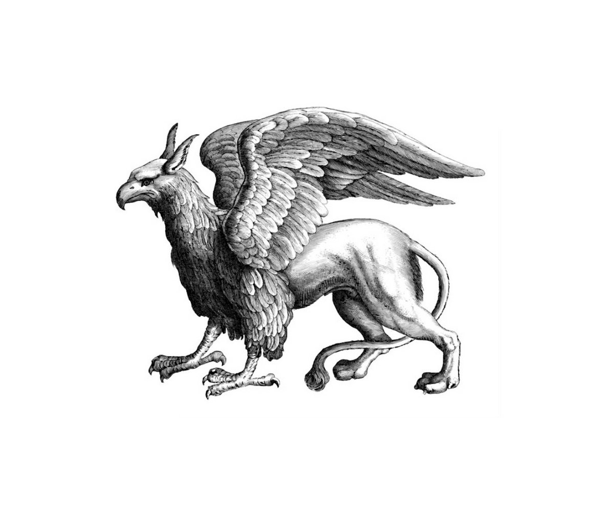 Грифон арт Минимализм