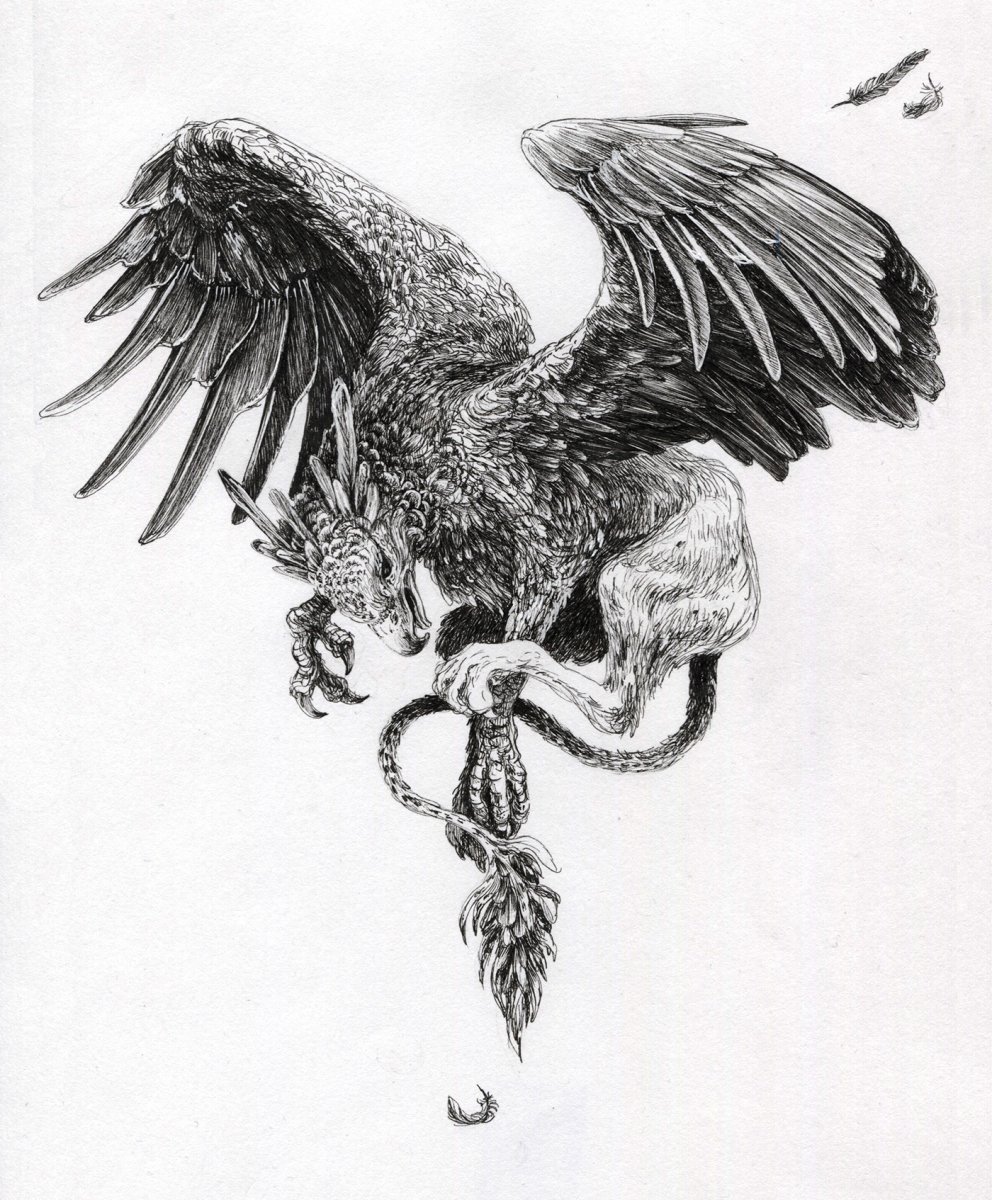 Грифон эскиз