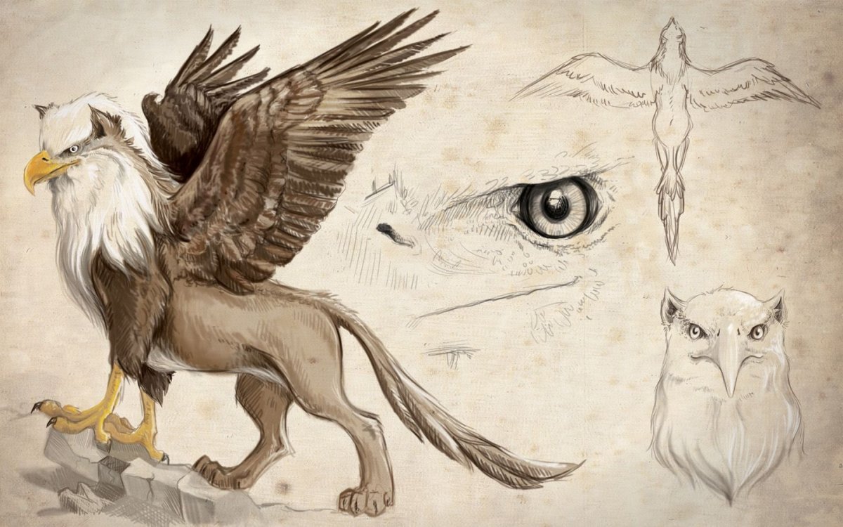 Грифон спереди