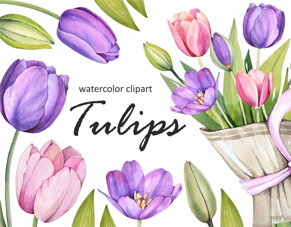 Букет из тюльпанов вектор