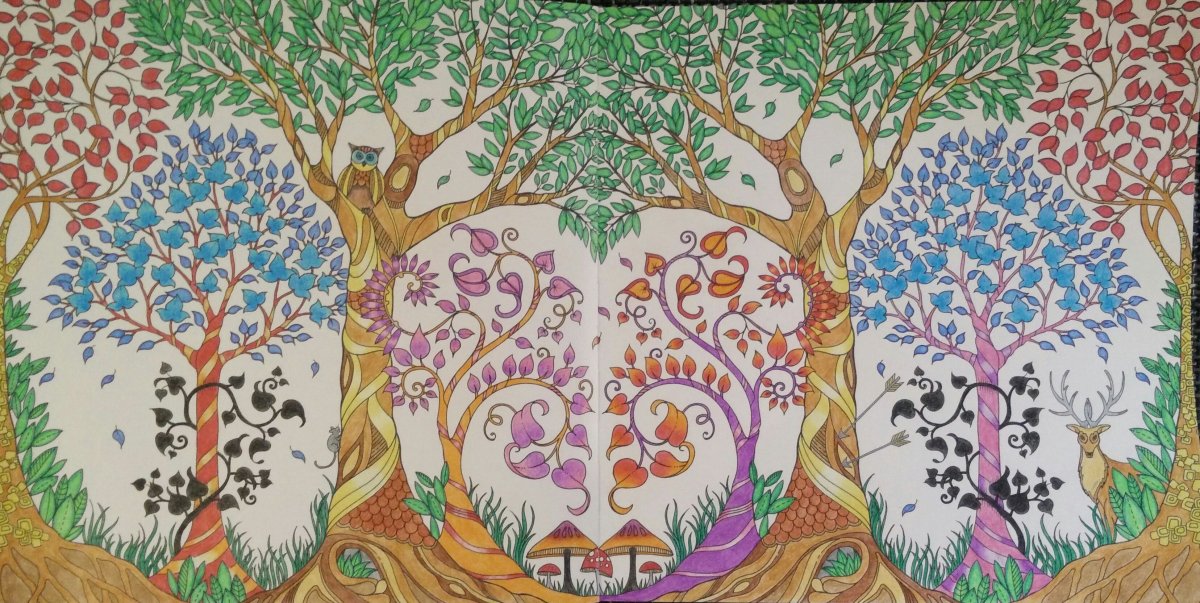 Волшебный лес