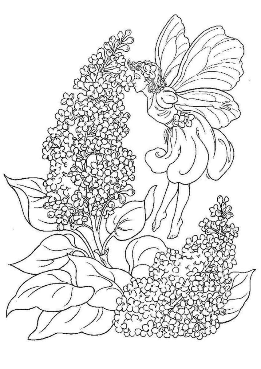 Раскраски эльфы и феи