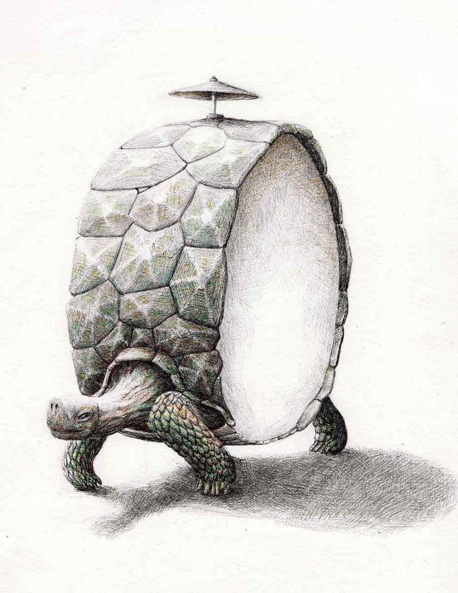 Редмер Хукстра картины