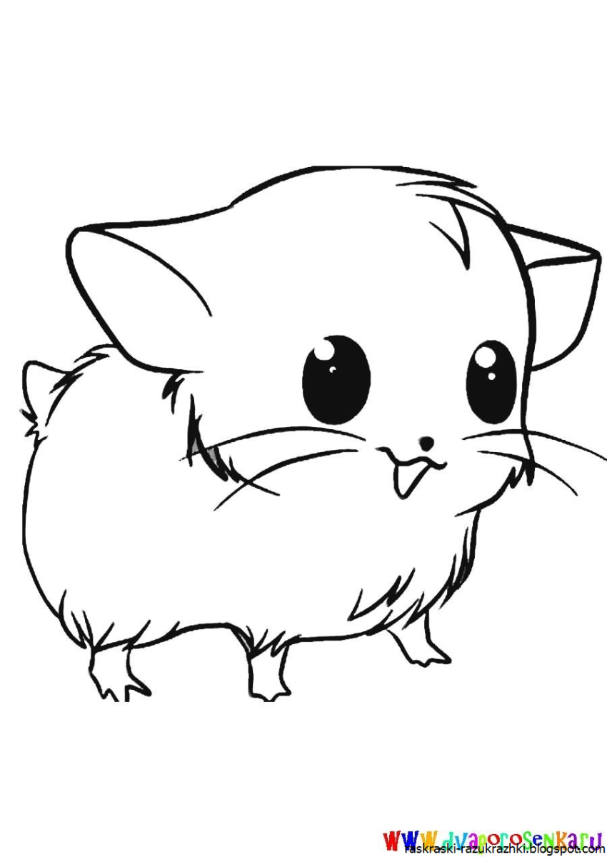 Раскраска кошечка