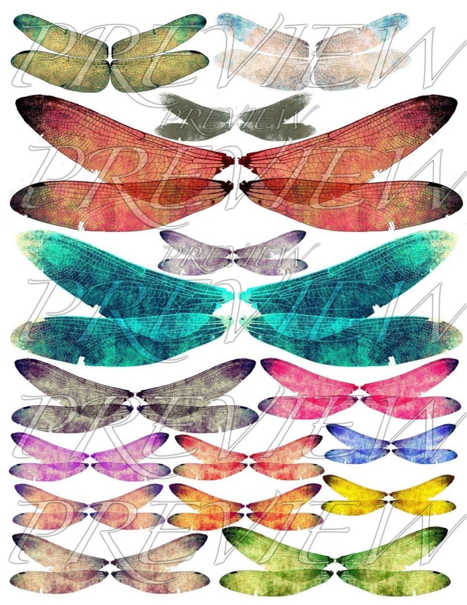 Крылья Стрекозы на белом фоне