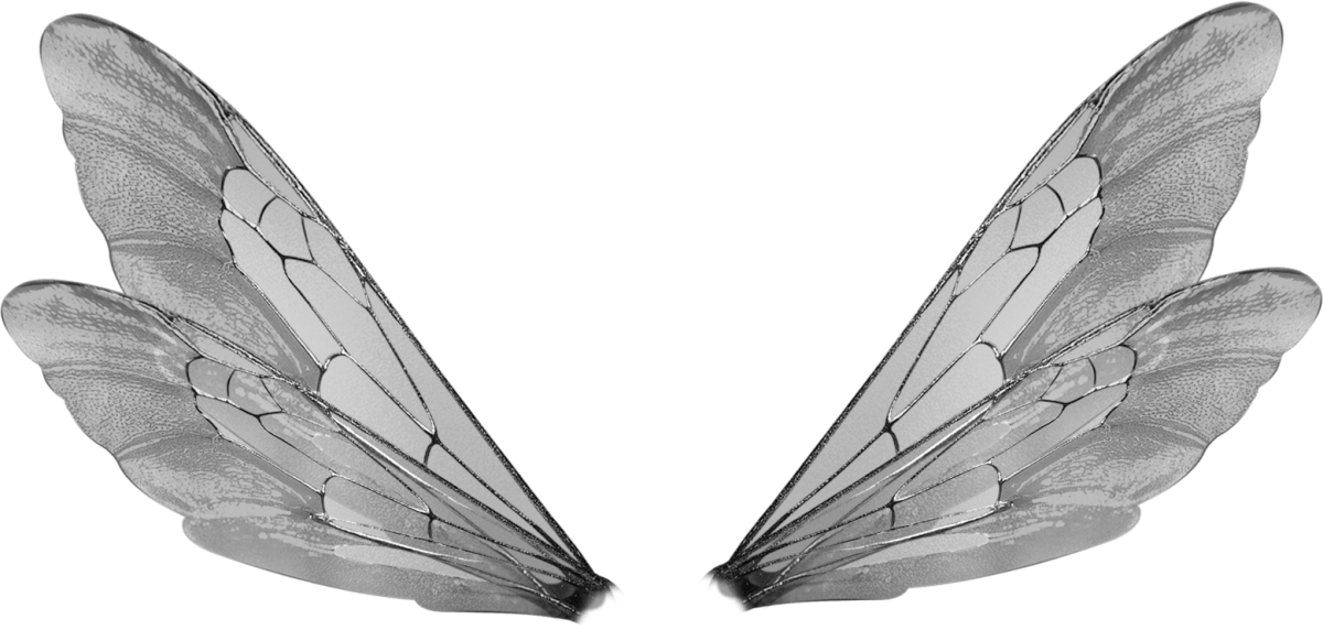 Крылья Стрекозы