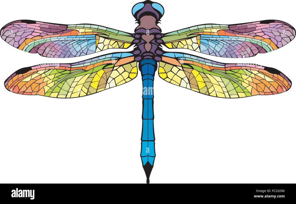 Стрекозы красивые для печати цветные